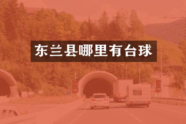 东兰县哪里有台球