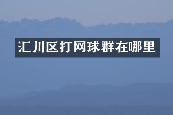 汇川区打网球群在哪里
