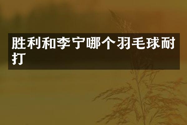 胜利和李宁哪个羽毛球耐打