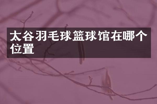 太谷羽毛球篮球馆在哪个位置