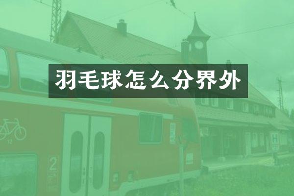 羽毛球怎么分界外