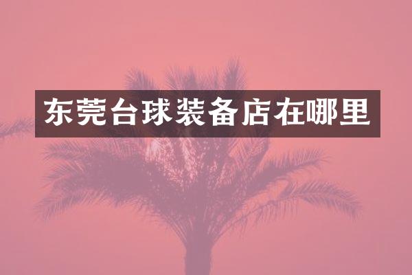 东莞台球装备店在哪里