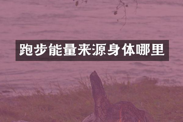 跑步能量来源身体哪里
