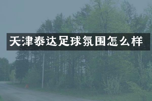 天津泰达足球氛围怎么样