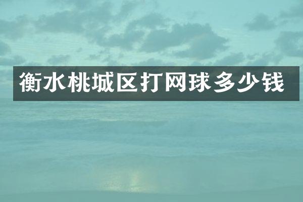 衡水桃城区打网球多少钱