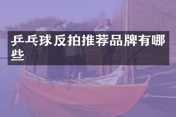 乒乓球反拍推荐品牌有哪些