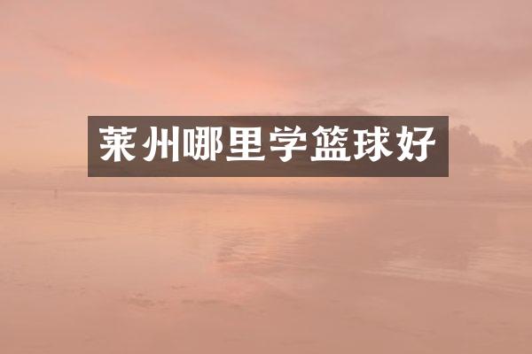 莱州哪里学篮球好