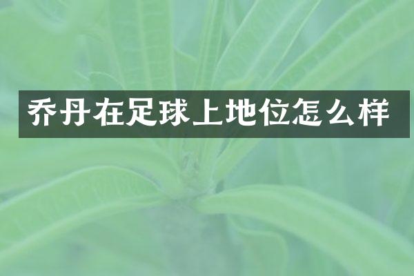 乔丹在足球上地位怎么样