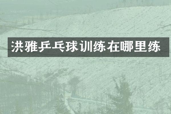 洪雅乒乓球训练在哪里练