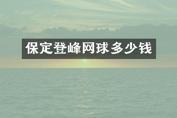 保定登峰网球多少钱