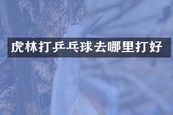 虎林打乒乓球去哪里打好