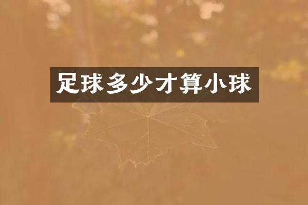 足球多少才算小球