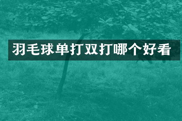 羽毛球单打双打哪个好看