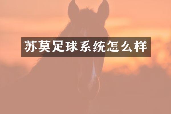 苏莫足球系统怎么样