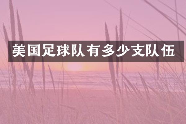 美国足球队有多少支队伍