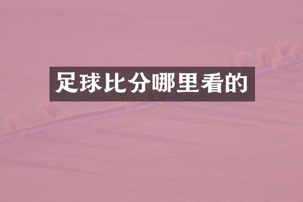 足球比分哪里看的