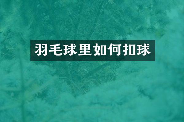 羽毛球里如何扣球