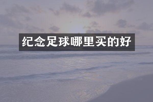 纪念足球哪里买的好