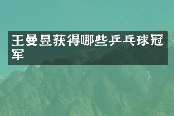 王曼昱获得哪些乒乓球冠军