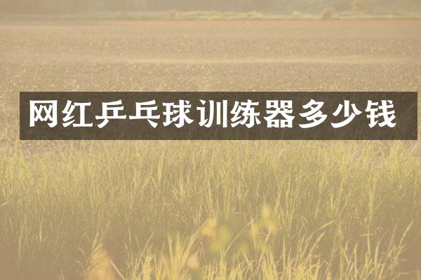 网红乒乓球训练器多少钱