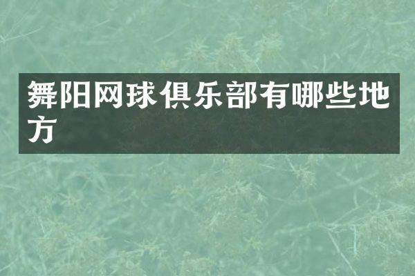舞阳网球俱乐部有哪些地方