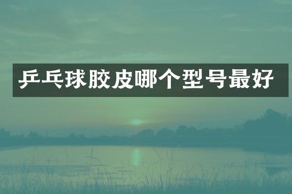 乒乓球胶皮哪个型号最好