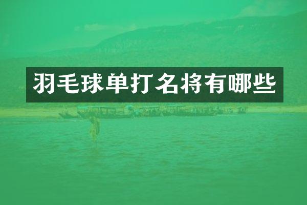 羽毛球单打名将有哪些