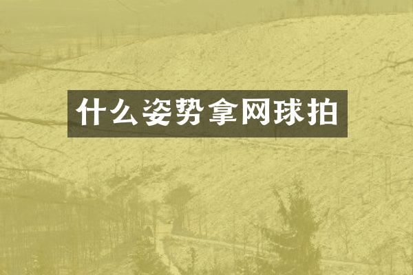 什么姿势拿网球拍
