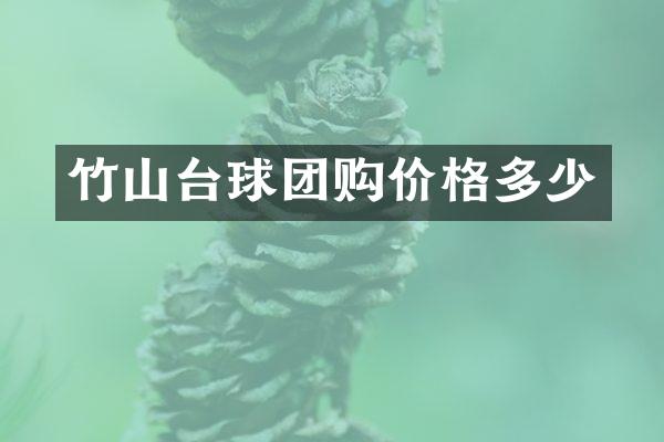 竹山台球团购价格多少