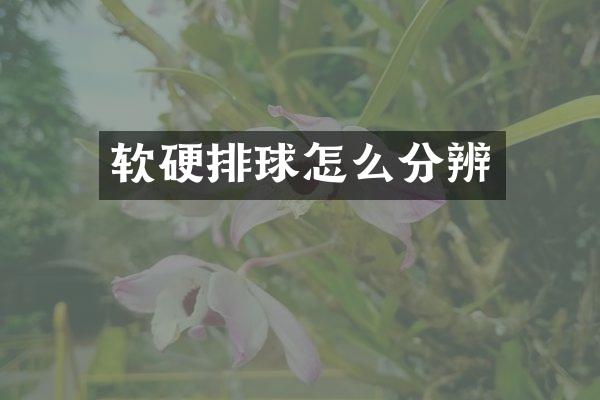 软硬排球怎么分辨