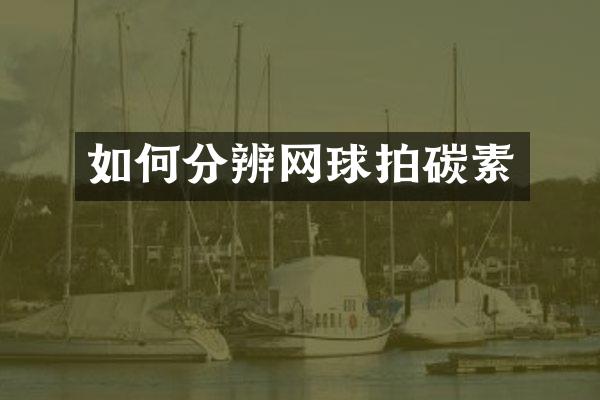 如何分辨网球拍碳素