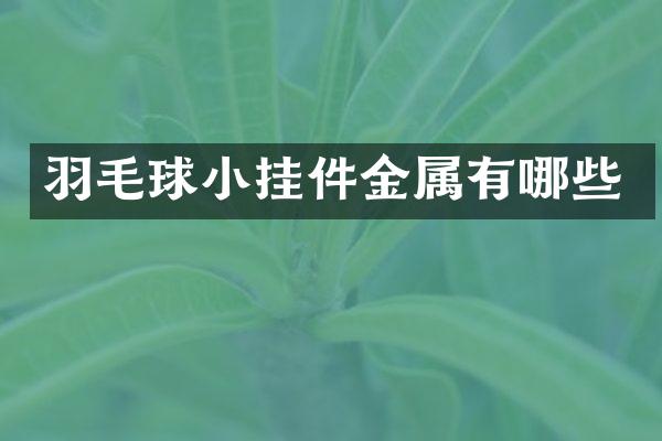 羽毛球小挂件金属有哪些