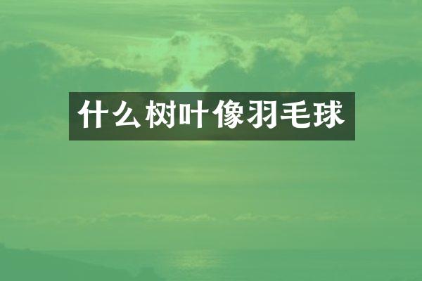 什么树叶像羽毛球