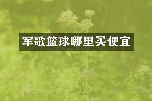 军歌篮球哪里买便宜