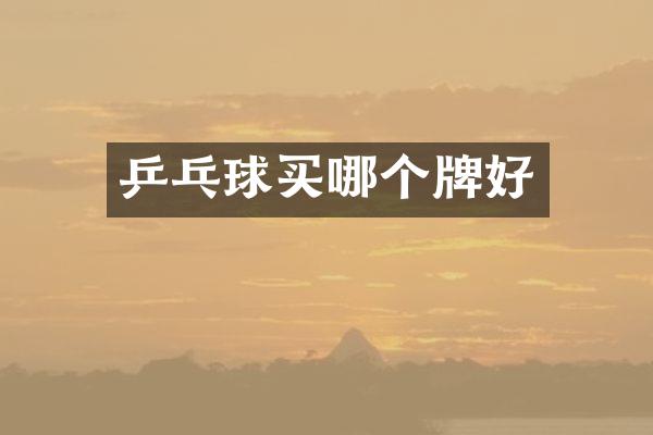 乒乓球买哪个牌好