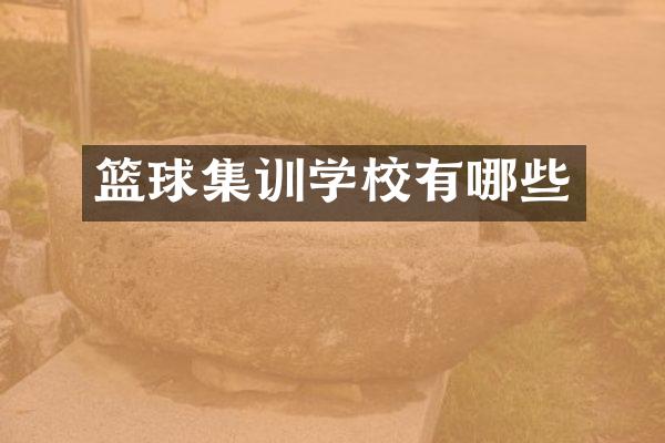 篮球集训学校有哪些