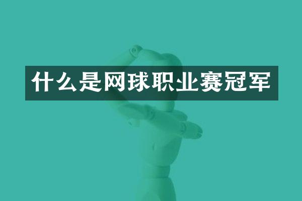 什么是网球职业赛冠军