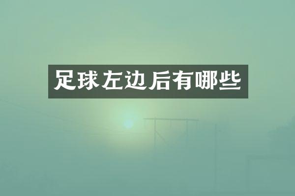 足球左边后有哪些