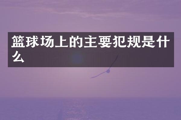 篮球场上的主要犯规是什么