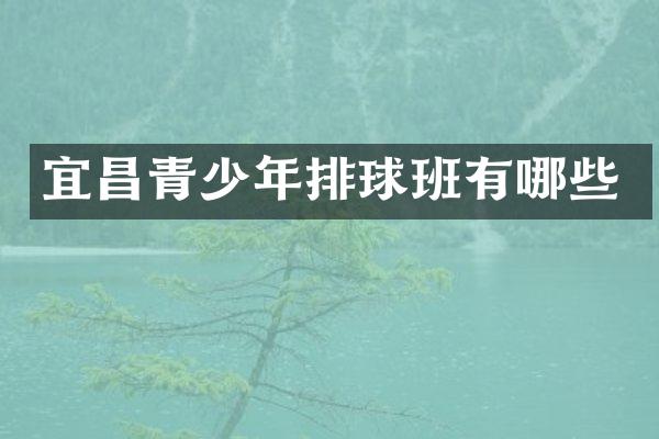 宜昌青少年排球班有哪些
