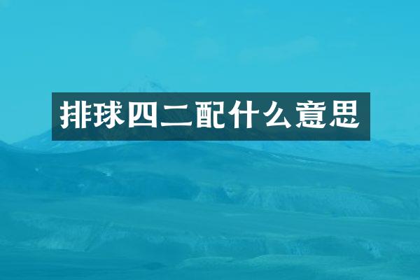 排球四二意思