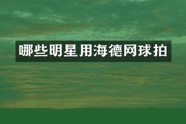 哪些明星用海德网球拍