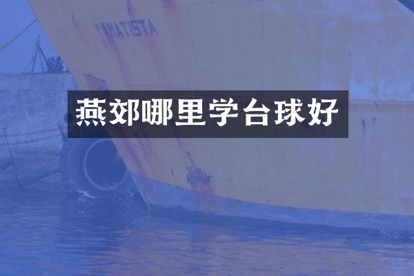 燕郊哪里学台球好