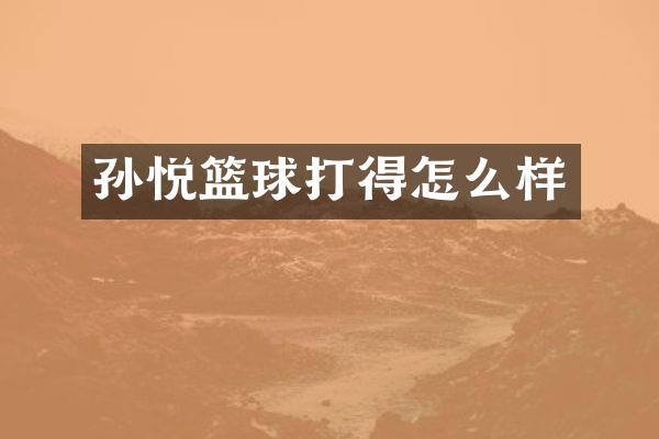 孙悦篮球打得怎么样