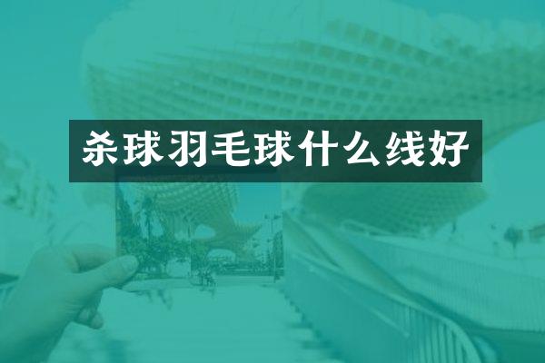杀球羽毛球什么线好