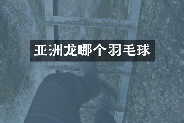亚洲龙哪个羽毛球