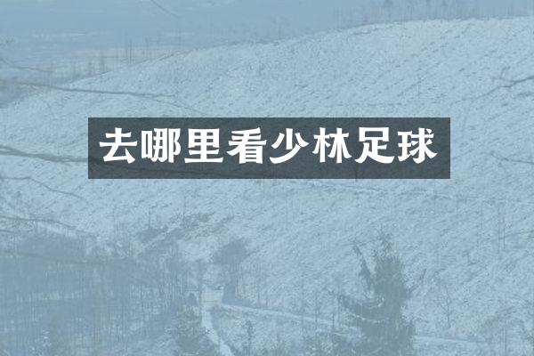 去哪里看少林足球
