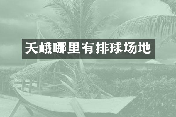天峨哪里有排球场地