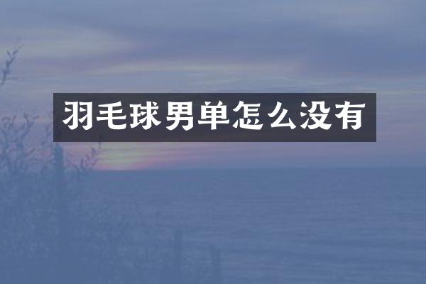 羽毛球男单怎么没有