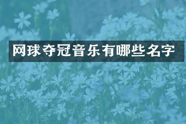 网球夺冠音乐有哪些名字